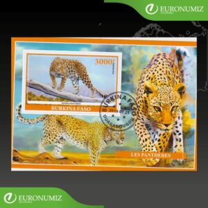 ZNAMKA BURKINA FASO 57