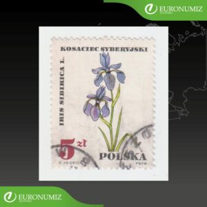 ZNAMKA POLSKO 16